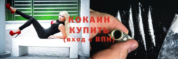 крисы Корсаков