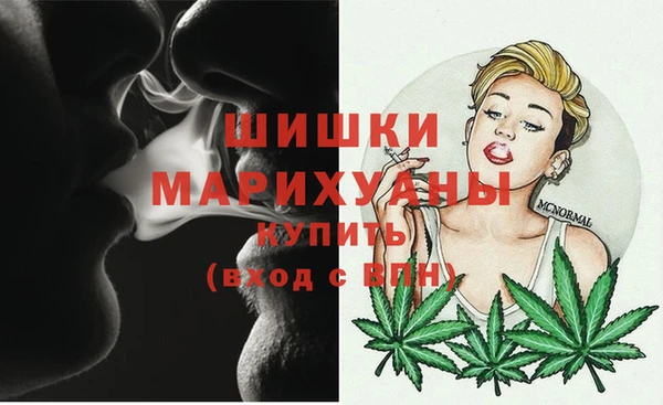 первитин Коряжма