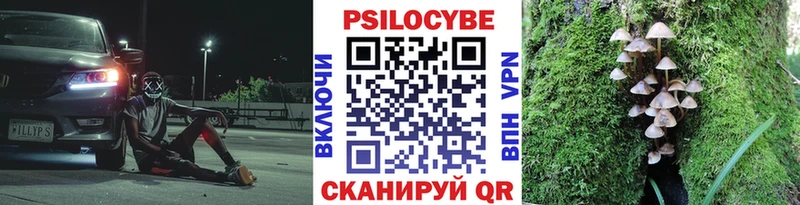 Купить закладки  Малмыж  Галлюциногенные грибы Magic Shrooms 